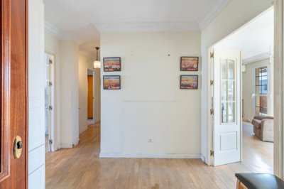 bzpaap116922913491024v0a89d