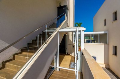 bzpaap116792915561024v034a0