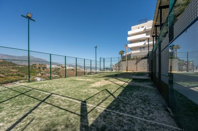 bzpaap117292921061024v03484