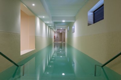 bzpaap117292920991024v0167f