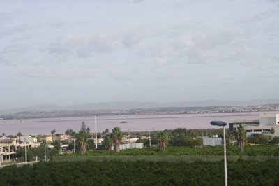 bzpaap117262920181024v03f6d