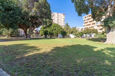 bzpaap117342922481024v050dc