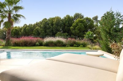 bzpaap117302921261024v0b024