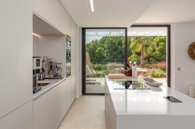 bzpaap117302921221024v0a8d5