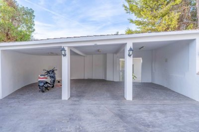 bzpaap117512927661024v02542