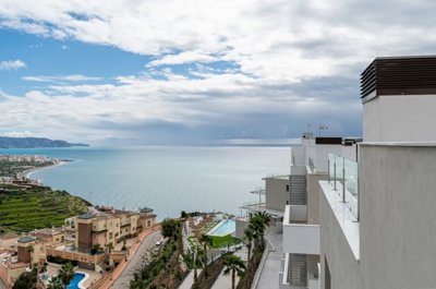 bzpaap117822940351024v091a8