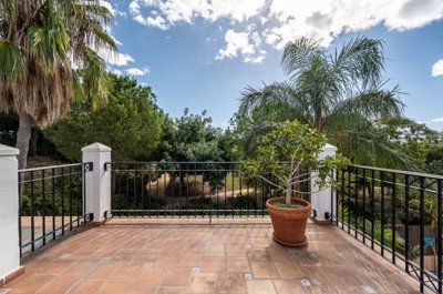 bzpaap117522927451024v0c293