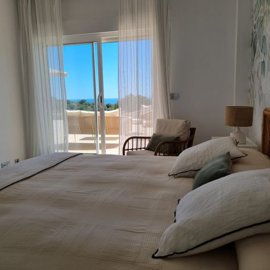 bzpaap113782826231024v047d3