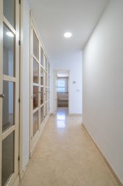 bzpaap113783009221024v0f175