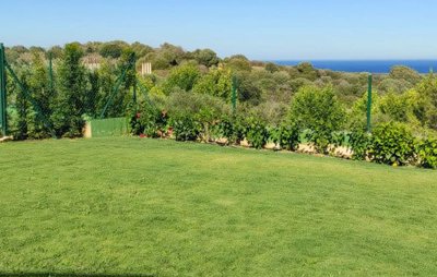 xlargebzpaap11378282627v033d3