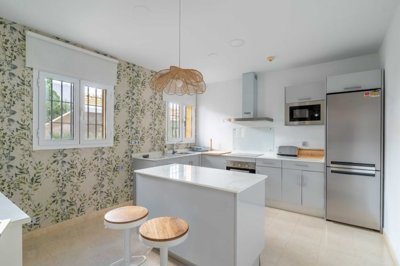 bzpaap113783009121024v09036