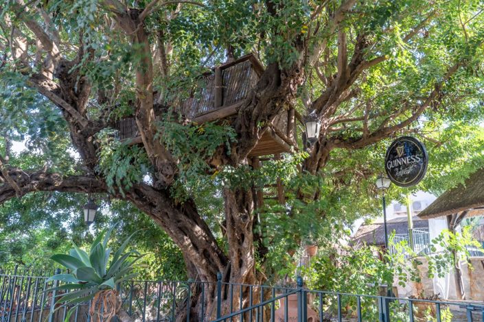 Image No.33-7 Bed Villa for sale