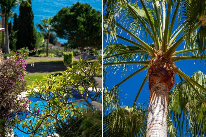 Image No.28-Appartement de 2 chambres à vendre à Torrox