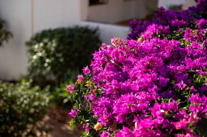 Image No.20-2 Bed Apartment for sale