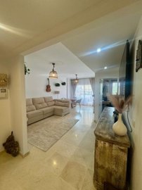 bzpaap117802938451024v0d953