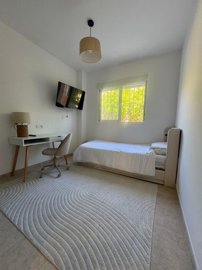 bzpaap117802938431024v021b8