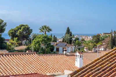 bzpaap118152949621024v0a1e4