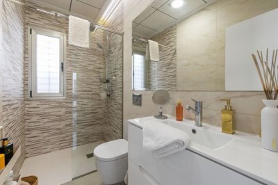 bzpaap118242962171024v0e8d0