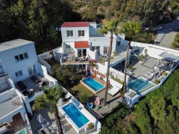 bzpaap118692971881024v07743