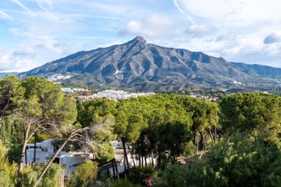 bzpaap118952972481024v07fe6