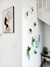 bzpaap119112979991024v0c530