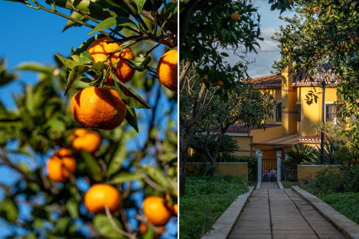 Image No.19-7 Bed Villa for sale