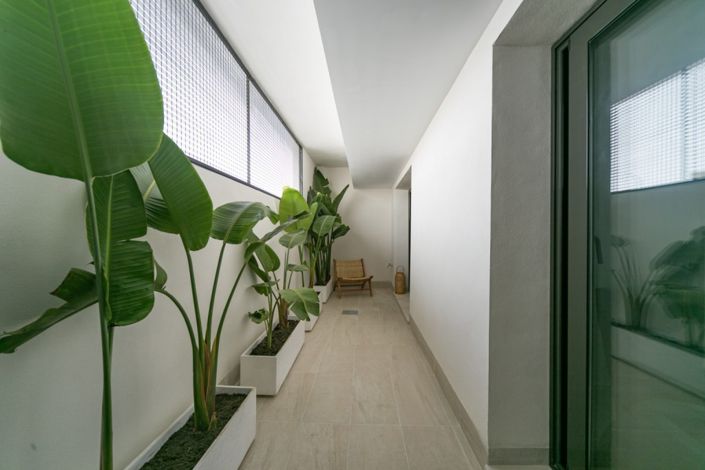 Image No.23-Propriété de 3 chambres à vendre à Torrevieja