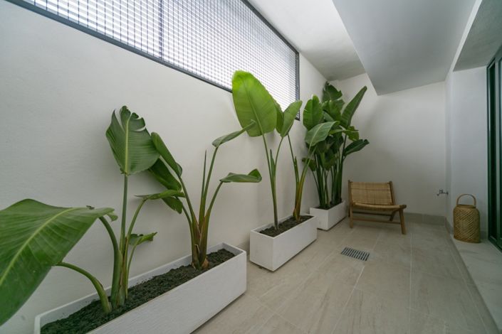 Image No.24-Propriété de 3 chambres à vendre à Torrevieja