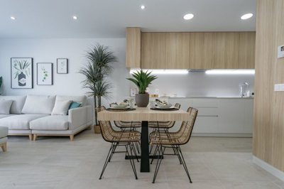 bzpaap119392989201024v0e311