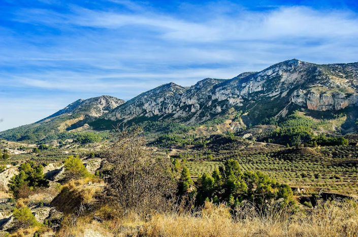 Image No.45-20 Bed Property for sale