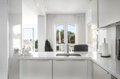 bzpaap119552999231024v0388c