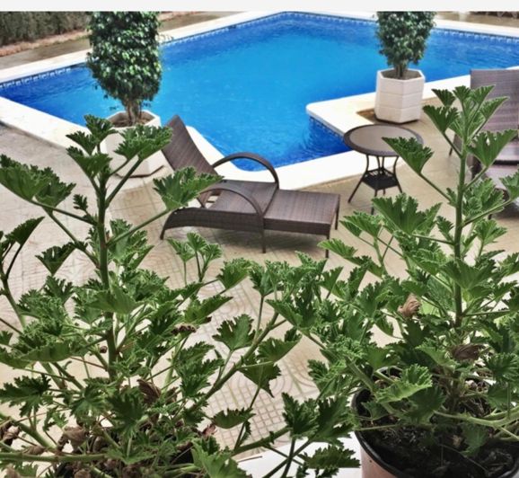 Image No.4-5 Bed Villa for sale