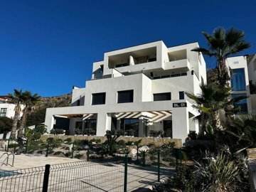 xlargebzpaap12000300473v07096