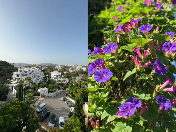 Image No.33-1 Bed Property for sale