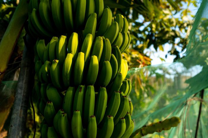 Image No.21-3 Bed Villa for sale