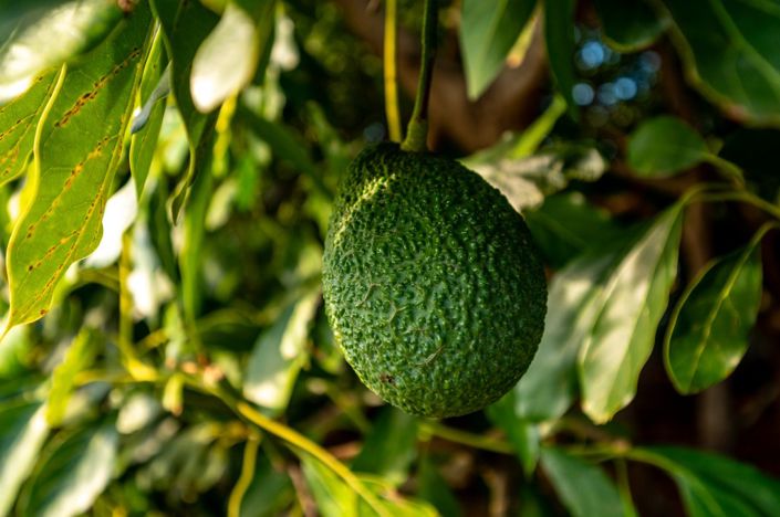 Image No.22-3 Bed Villa for sale