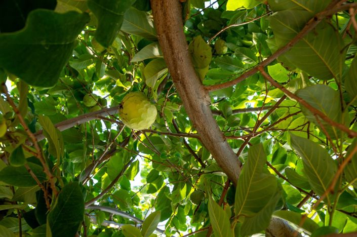 Image No.26-3 Bed Villa for sale