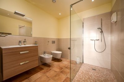 bzpaap120493020431024v0266b