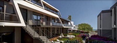 bzpaap120653024111024v08346