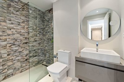 bzpaap120693025671024v0483a