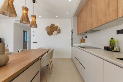 bzpaap120823030641024v00d40