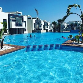 xlargebzpaap12098303328v06aaf