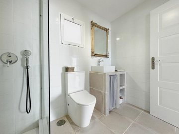 bzpaap120773028161024v0cd4c