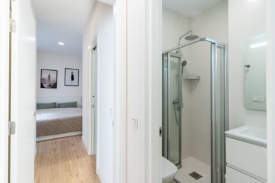 bzpaap121023034041024v010dc