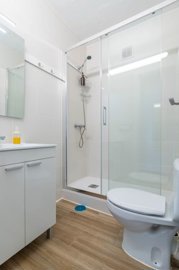 bzpaap121343044161024v03733