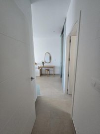 bzpaap121333044071024v0a31f