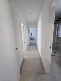 bzpaap121333043961024v0380f