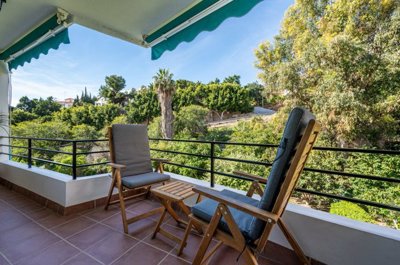 bzpaap121323045451024v0ef3f