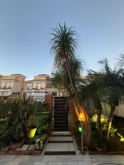 Image No.37-Jumelé de 4 chambres à vendre à Pilar de la Horadada