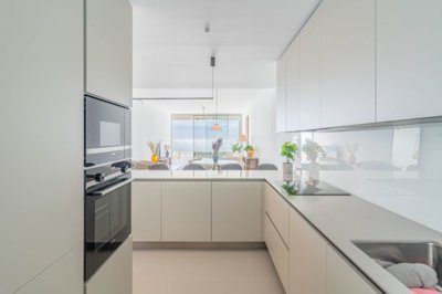 bzpaap121463047841024v07506